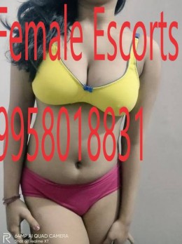 Escort CHEAP CALL GIRL IN SAKET 9958018831 SHORT 2500 NIGHT - Escort in New Delhi - hair color Brown
