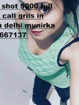CALL GIRLS IN DELHI9818667137 SHOT 2000 NIGHT 7000 - Escort milina | Girl in New Delhi